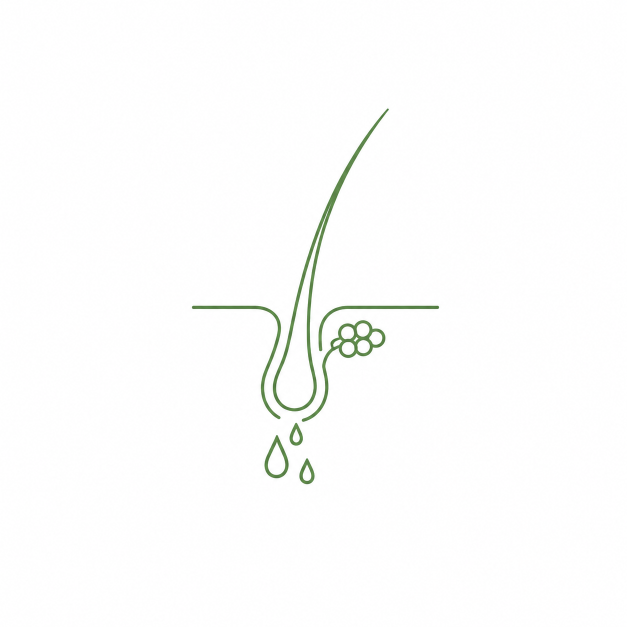 تقویت کننده ها