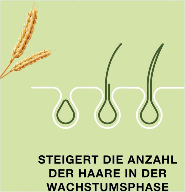 bayer-priorin-kapseln-120-stk (1)